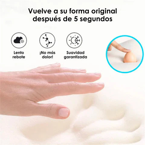 Cojín Asiento Ortopédico + Envió Gratis